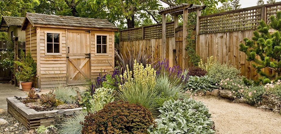 Wood Shed in a backyard